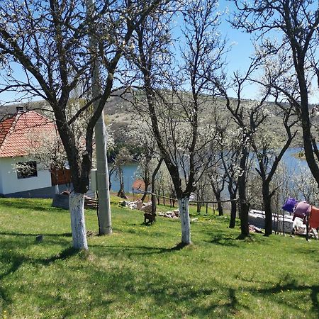 Uvac Griffon Villa Nova Varoš Екстериор снимка