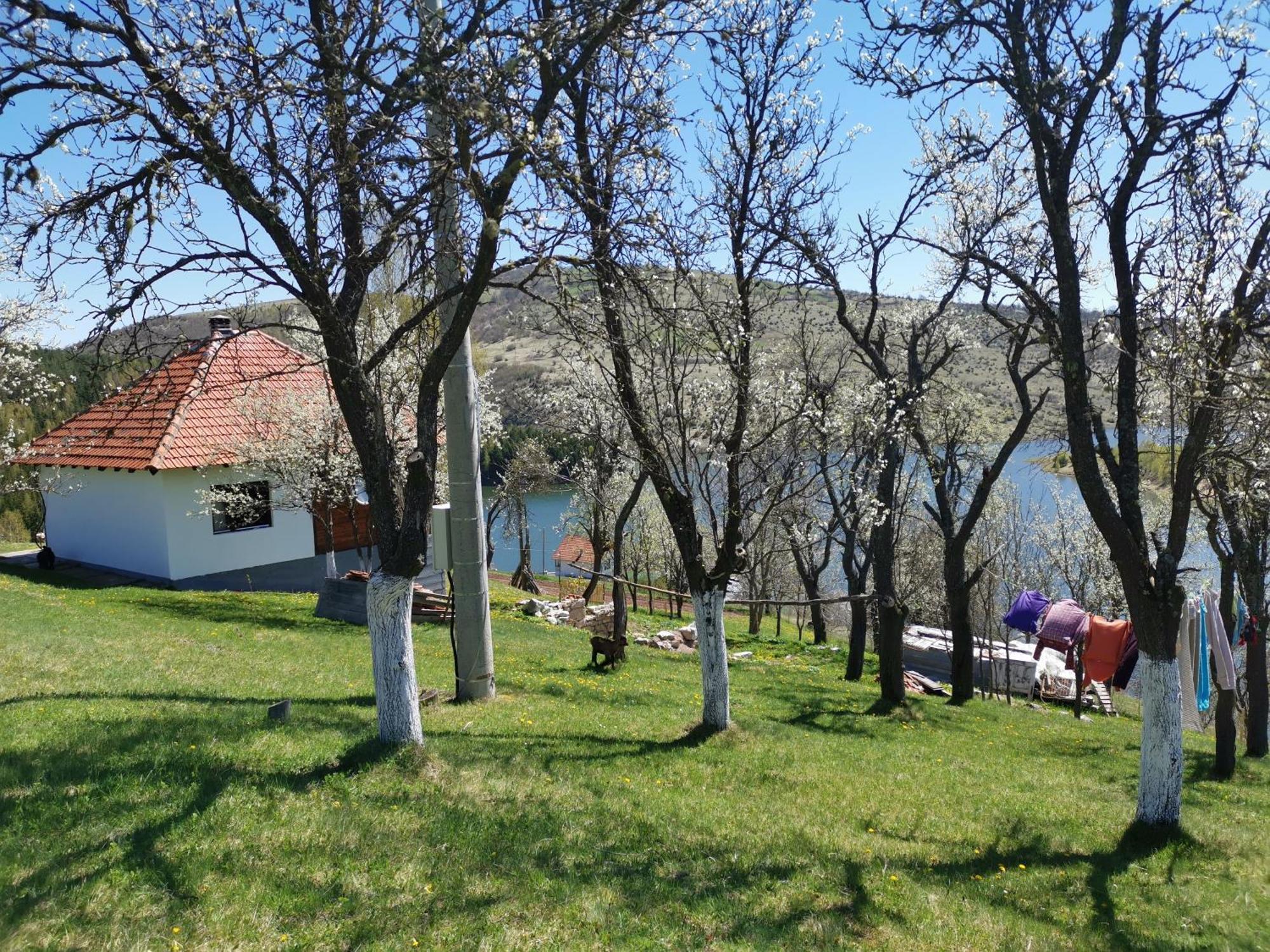 Uvac Griffon Villa Nova Varoš Екстериор снимка