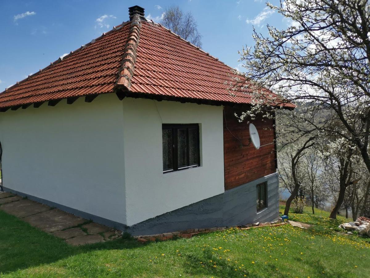 Uvac Griffon Villa Nova Varoš Екстериор снимка