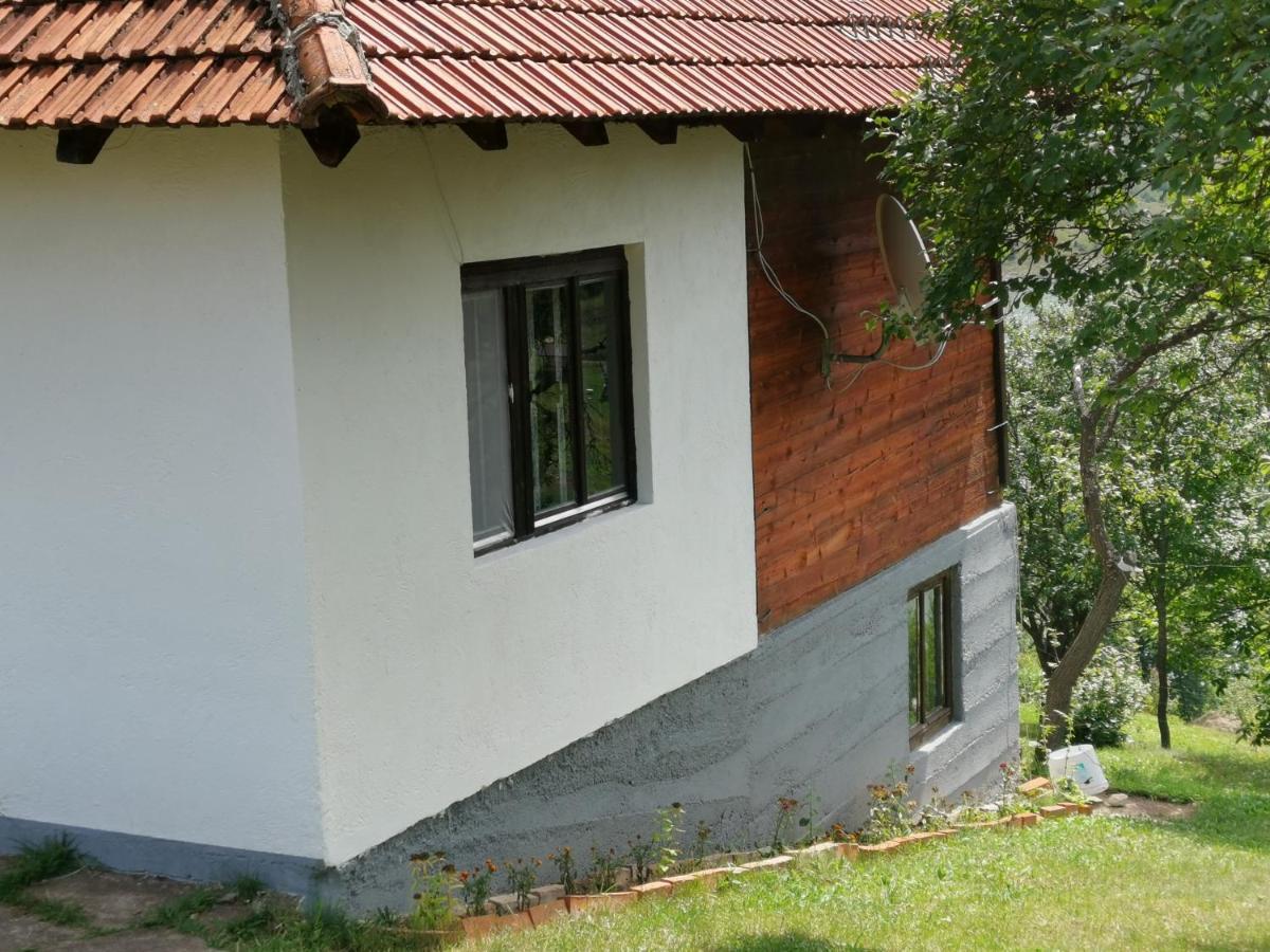 Uvac Griffon Villa Nova Varoš Екстериор снимка