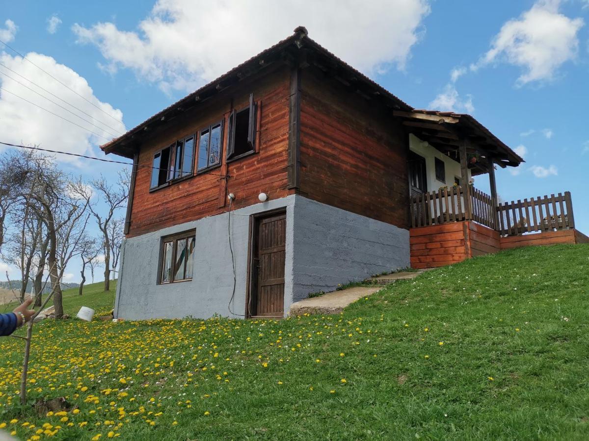 Uvac Griffon Villa Nova Varoš Екстериор снимка
