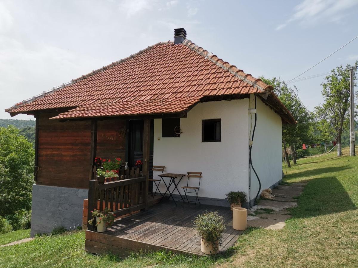 Uvac Griffon Villa Nova Varoš Екстериор снимка